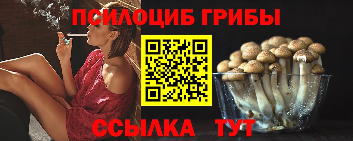 Псилоцибиновые грибы GOLDEN TEACHER Качканар